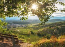 Promienie słońca, Wzgórza, Kaiserstuhl, Drzewo, Ławka, Bischoffingen, Badenia-Wirtembergia, Niemcy