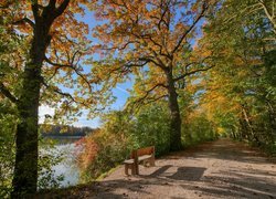 Ławka pod jesiennymi drzewami na brzegu rzeki
