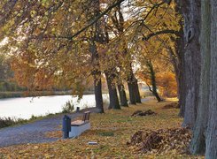 Ławka pod jesiennymi drzewami nad rzeką