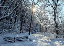 Zima, Park, Ławka, Śnieg, Ogrodzenie, Drzewa