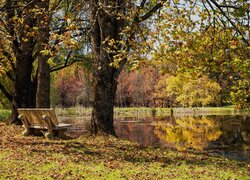 Jesień, Drzewa, Ławka, Staw, Park