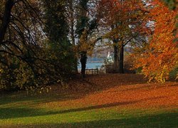 Park, Jesień, Drzewa, Liście, Ławka