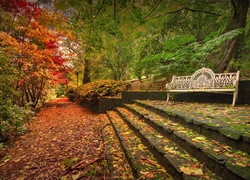 Ławka przy schodach w parku jesienią