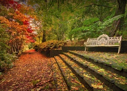 Park, ławka, Schody, Jesień