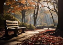 Jesień, Park, Ławka, Drzewa, Ścieżka