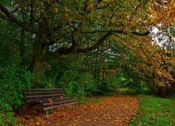 Park, Drzewa, Ławka, Ścieżka, Liście, Jesień