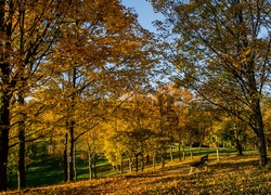 Jesień, Park, Drzewa, Liście, Ławka, Niebo