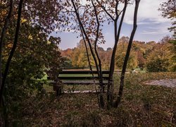 Ławka w parku jesienią