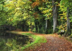 Park, Drzewa, Aleja, Ławka, Rzeka, Most