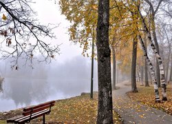 Jesień, Park, Drzewa, Mgła, Ławka, Staw