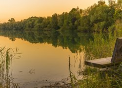 Ławka w szuwarach nad brzegiem jeziora