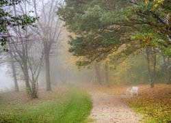 Ławka w zamglonym jesiennym parku