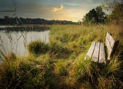 Ławka wśród traw nad rzeką