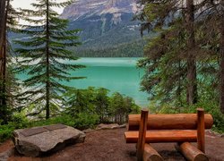 Jezioro, Emerald Lake, Drzewa, Góry, Ławka, Park Narodowy Yoho, Kolombia Brytjska, Kanada