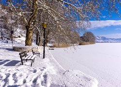 Ławki i drzewa nad zaśnieżonym jeziorem Kastoria w Grecji