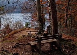 Jesień, Jezioro, Drzewa, Ławki, Liście