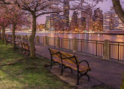 Stany Zjednoczone, Nowy Jork, Manhattan, Rzeka, Cieśnina East River, Wieczór, Wieżowce, Promenada, Ławki, Kwitnące, Drzewa, Wiosna