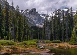 Park Narodowy Grand Teton, Góry, Drzewa, Las, Rzeka, Chmury, Stan Wyoming, Stany Zjednoczone