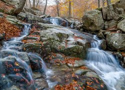 Leśna rzeka płynąca po skale i kamieniach