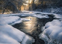 Zima, Rzeka, Śnieg, Las