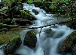 Leśny strumień spływający po omszałych kamieniach