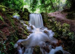 Las, Drzewa, Wodospad, Rzeka, Kamienie, Tipperary, Irlandia