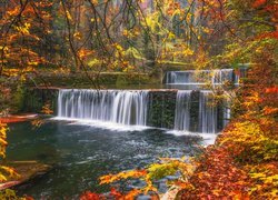 Las, Wodospad, Kamienie, Liście, Drzewa, Gałęzie, Jesień