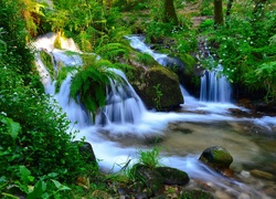 Leśny wodospad spływający po kamieniach i roślinach do potoku