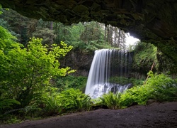 Leśny wodospad widziany z jaskini