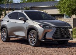 Lexus NX 350h