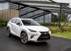 Lexus NX Crafted