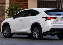 Lexus NX F-Sport