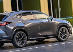 Lexus NX Plug-in Hybrid F Sport, Bok