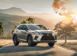 Lexus RX 350 F na drodze