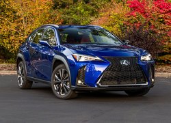 Lexus UX 200 F Sport