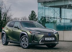 Lexus UX 300e, Oliwkowy