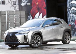 Lexus UX200, Ogrodzenie, Kolorowa, Ściana