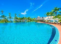 Leżaki i palmy nad hotelowym basenem w tropikach