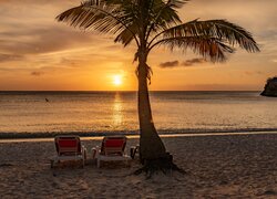 Leżaki pod palmą na plaży o zachodzie słońca nad morzem