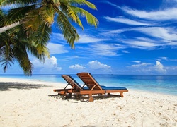 Leżaki pod palmami na Bahamach