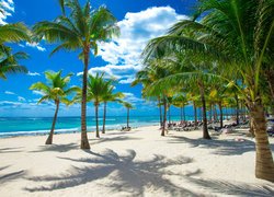 Leżaki pod palmami na tropikalnej plaży