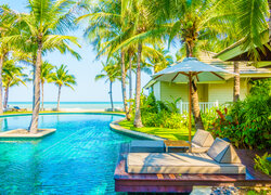 Leżaki pod palmami nad hotelowym basenem w tropikach