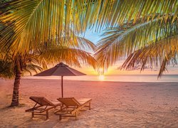 Malediwy, Morze, Plaża, Palmy, Leżaki, Parasol, Zachód słońca