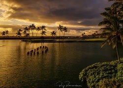 Lihue na hawajskiej wyspie Kauai