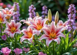 Lilie i inne kwiaty w ogrodzie w słonecznym blasku