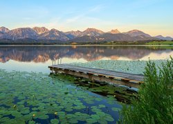 Góry, Jezioro Hopfensee, Pomost, Rośliny, Kwiaty, Lilie wodne, Liście, Bawaria, Niemcy