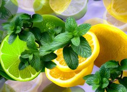 Limonka i cytryna w grafice