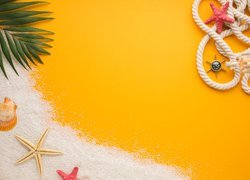 Liść palmy i rozgwiazdy na piasku obok liny i butelki