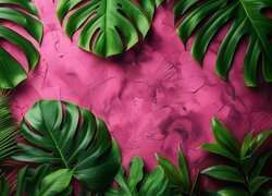Liście, Monstera, Grafika, Biskupie, Tło