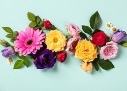 Listki pomiędzy kolorowymi kwiatami